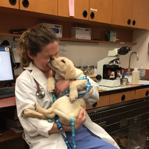 Dr. Emily Yavaraski